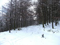 Foto cruce con nieve