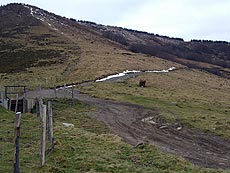 Foto de la pista por la ladera de Leuneta desde Errekalko