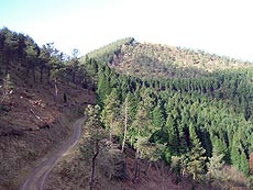 Foto del camino que va a Otsolepo con el monte Onddo al fondo