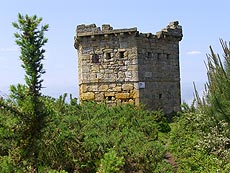 Foto la torre