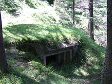 Foto del bunker camuflado por la hierba