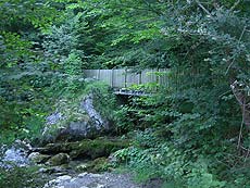 Foto del puente de madera