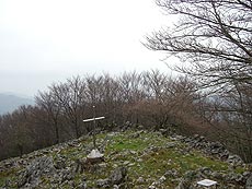 &aacute;rboles y rocas en la cima de Otsabio