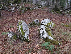 Foto de los restos del dolmen