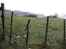Foto de la valla con el prado al fondo