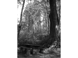 mesa madera,sitio tranquilo (Lourdes). Ampliar