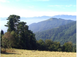 Vista del monte Usurbe desde. Ampliar