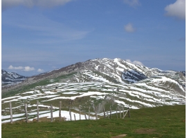 Monte Pardarri desde Errenaga. Ampliar