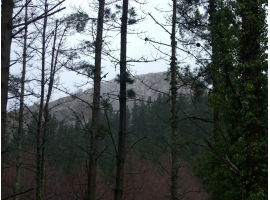 Monte Gaztelu tras los pinos. Ampliar