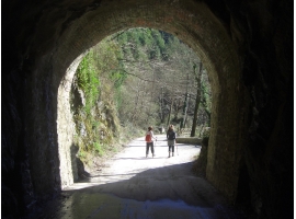 uno de los muchos túneles (trianonandn). Ampliar